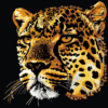 Wild Majesty - Latch Hook Pillowcase Kit