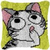 Wow! - Latch Hook Pillow Kit